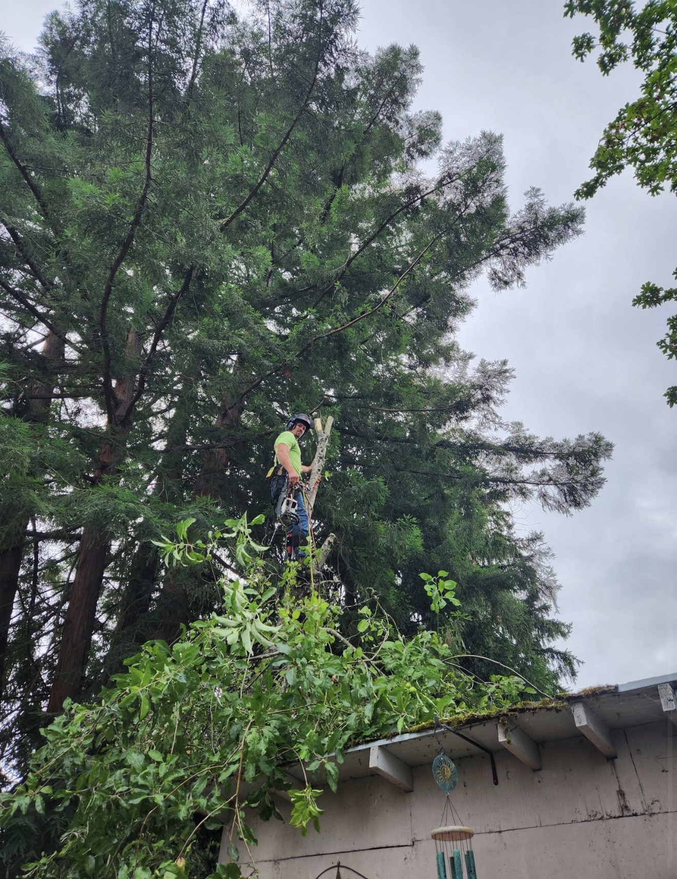 Climbing crew · Walterville