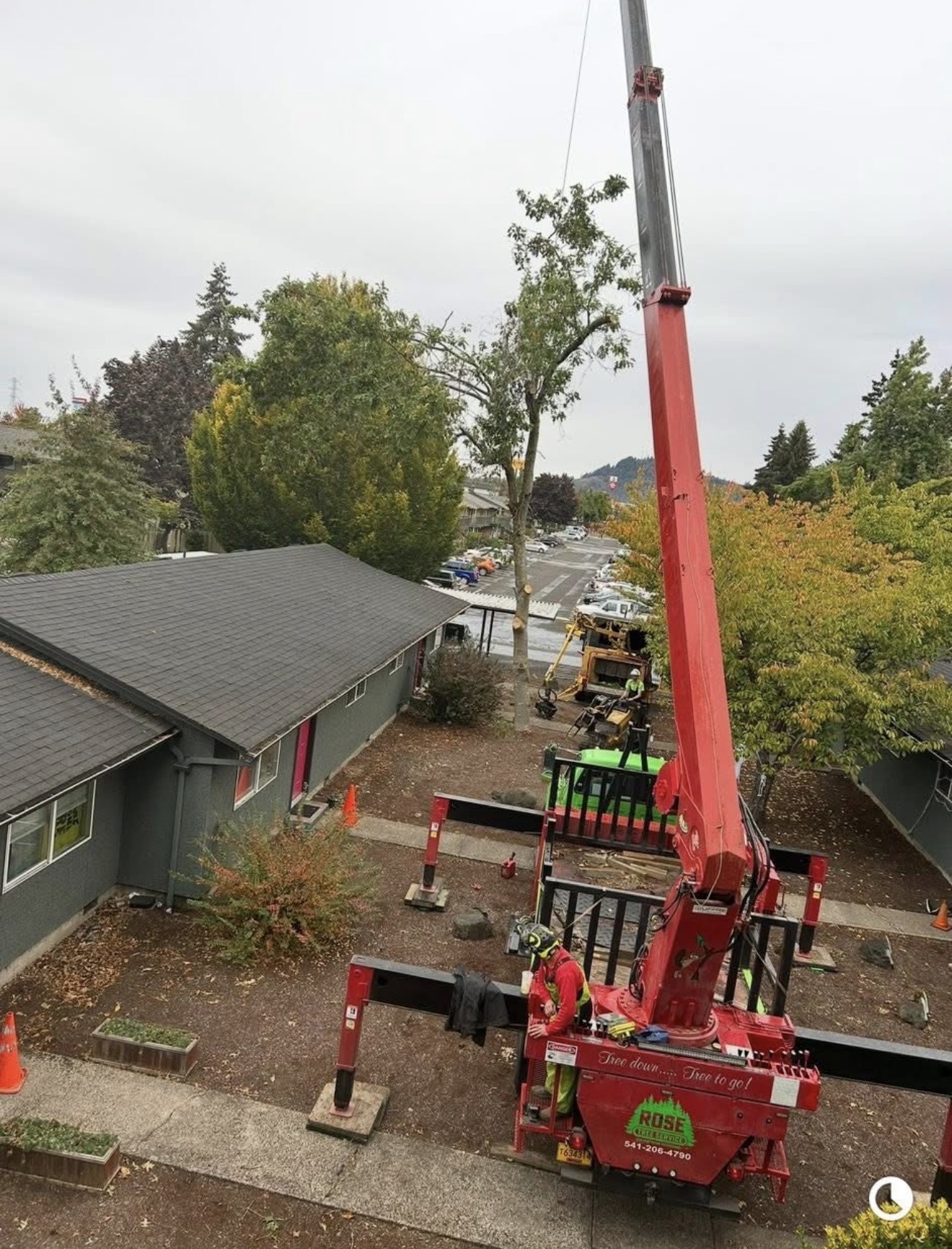 Rose Tree Service branded red crane operating over a residential property