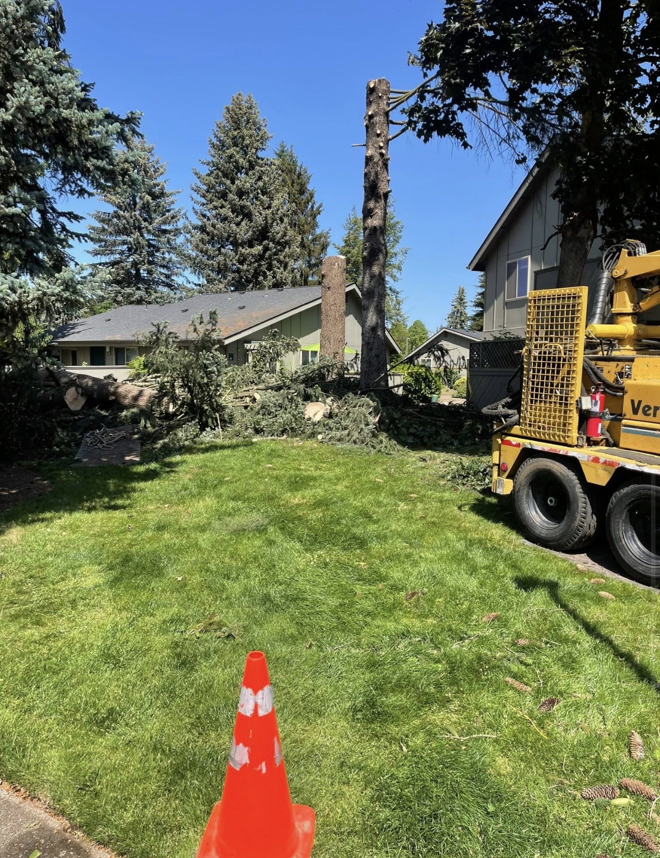 Fir takedown · Springfield