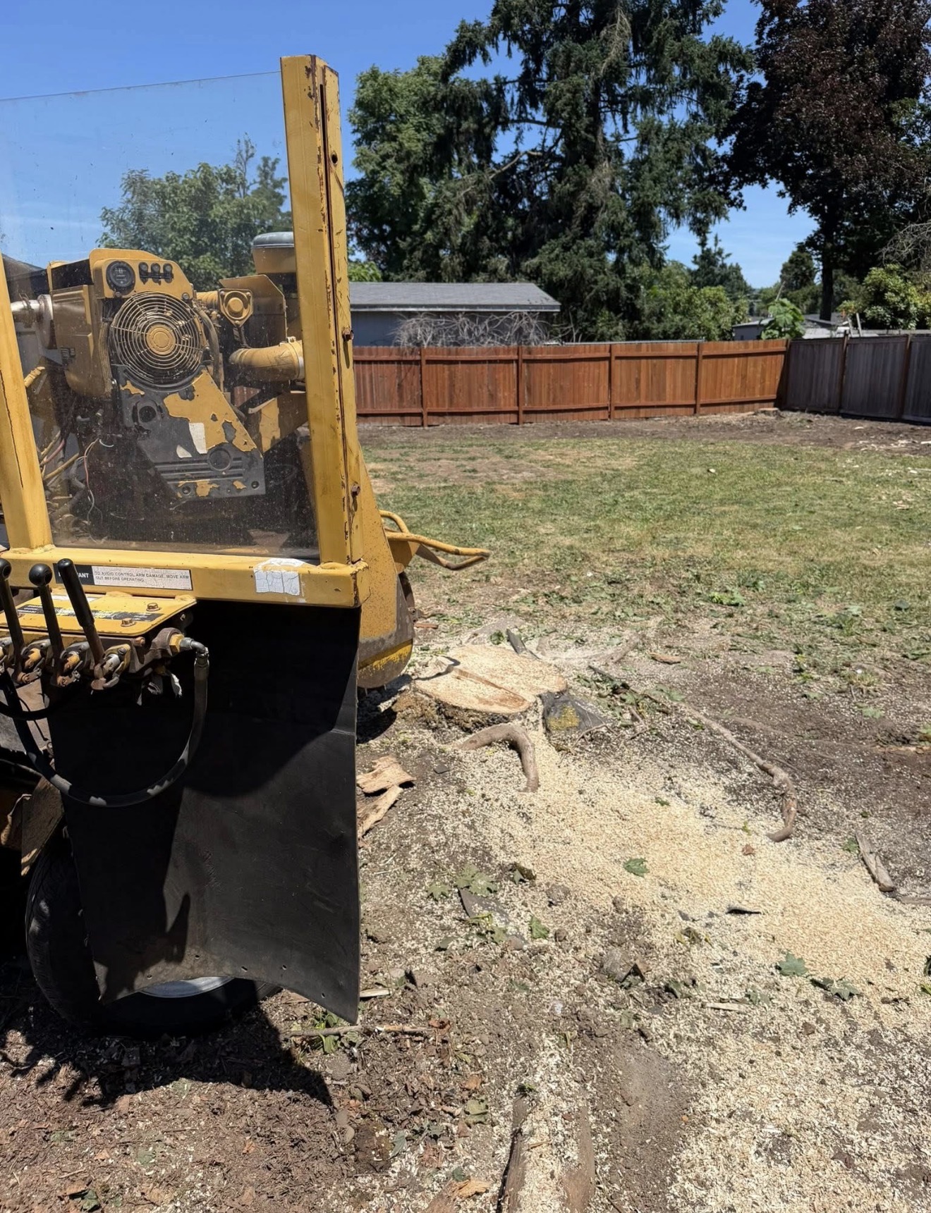 Grind & cleanup · Springfield