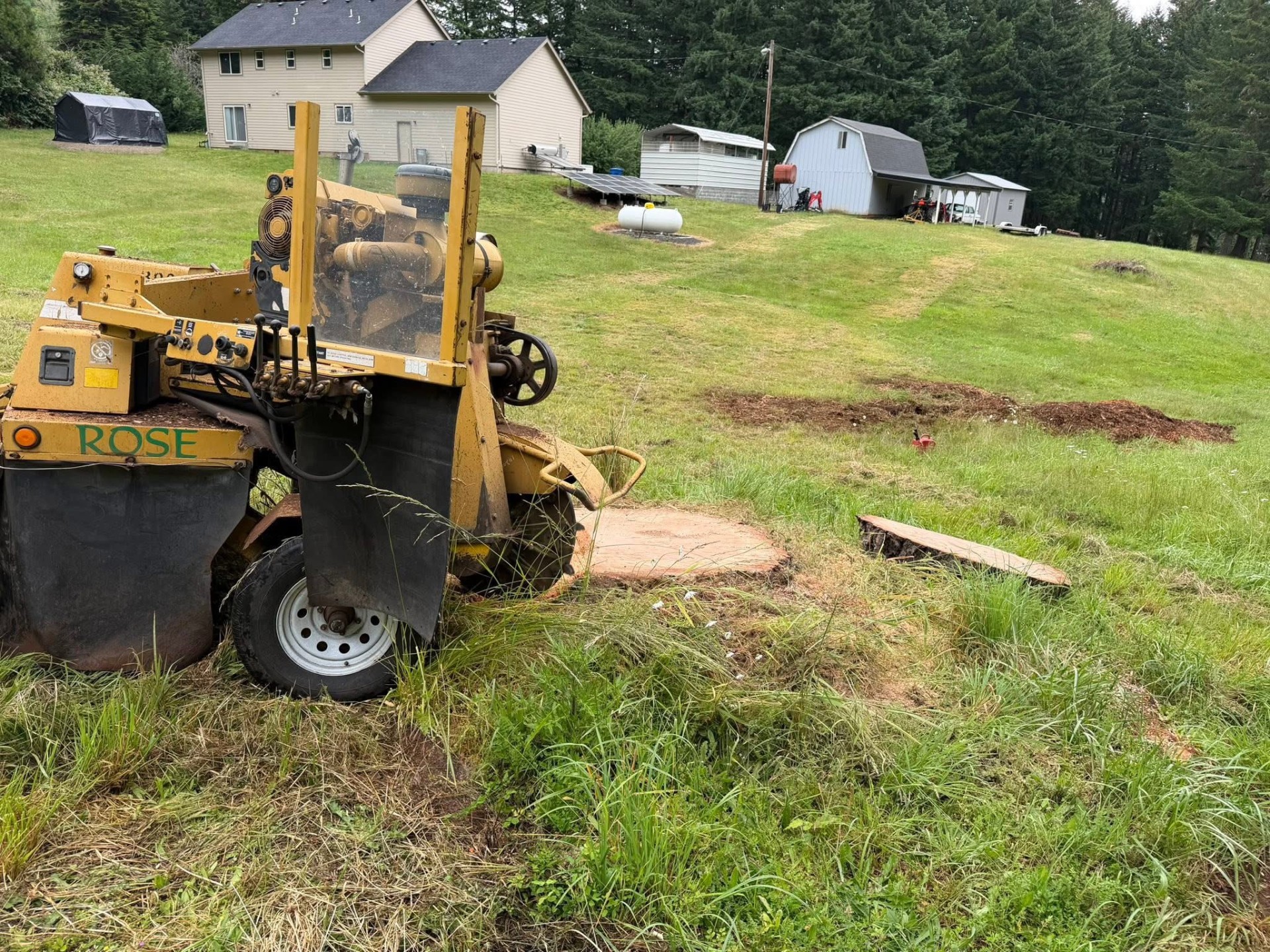 Stump grinding · Thurston